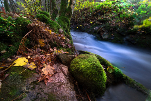 1759345 (a): :2000x1335